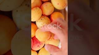 🍑 The Amazing World of Apricots Recipes and Fun Facts 2  shorts apricots facts fruits [upl. by Bravar]