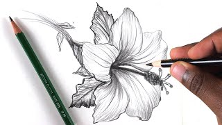 How To Draw A Flower Step by Step In 10 Minutes [upl. by Karoly]