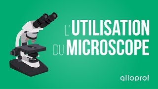 Lutilisation du microscope  Sciences  Alloprof [upl. by Joappa]