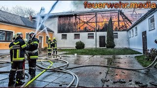 Wirtschaftsgebäude in Vollbrand  60 Rinder gerettet [upl. by Santos630]