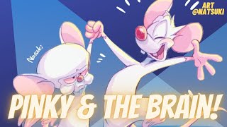 Pinky And The Brain Theme Song  Vocal Cover【Treb】 [upl. by Yanat714]