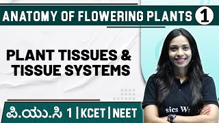 ANATOMY OF FLOWERING PLANTS  01  Plant tissues amp Tissue systems  Botany  PUC 1  KCET  NEET [upl. by Justino802]