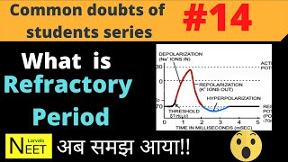 What is Refractory Period in Action Potential  Refractory Period  class 11 Biology  Neet [upl. by Ymereg]