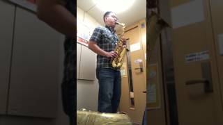 Woodstone New Vintage Alto Sax [upl. by Ahsenev568]