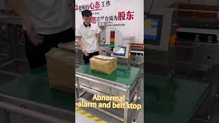 Big load weight checkweigher High Precision Check Weigher Scale Checkweigher [upl. by Radbun827]