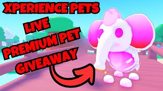 Live Premium pet Giveaways in Roblox Xperience pets [upl. by Hartnett]