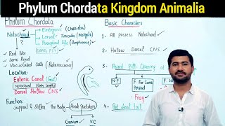 Kingdom Animalia  Phylum Chordata Explain in URDUHindi 2023  Irtisams Biology [upl. by Limaa667]