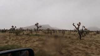 TRX on the Mojave trail with snow and rain [upl. by Amery]