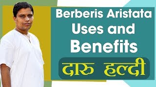 Berberis Aristata Uses and benefits दारु हल्दी  Acharya Balkrishna [upl. by Emmet]