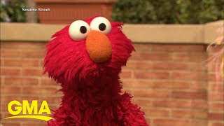 Elmo’s feud with a pet rock goes viral l GMA [upl. by Pattin358]