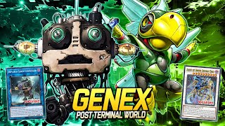 Genex Post Terminal World EDOPRO  Replays 🎮  Decklist ✔️ [upl. by Lasko]