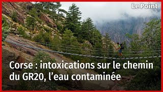 Corse  intoxications sur le chemin du GR20 l’eau contaminée [upl. by Fredek778]