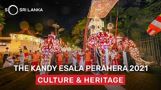 The Kandy Esala Perahera  So Sri Lanka [upl. by Bolitho55]