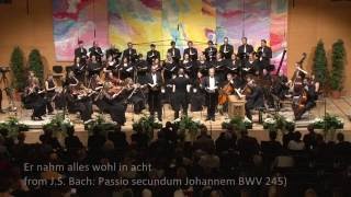 Er nahm alles wohl in acht from JS Bach Passio secundum Johannem BWV 245 [upl. by Imekawulo]