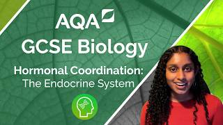 AQA GCSE Biology Human Endocrine System [upl. by Aekim]