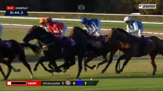 Qatar Prix De La Foret 2016 [upl. by Nnaitak]