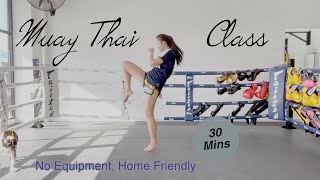 Muay Thai at Home  Full Class Beginner Friendly No equipment  30 Mins with Spring Sia [upl. by Fausta]