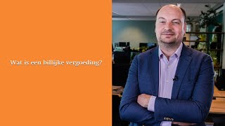 Wat is een billijke vergoeding [upl. by Asle]