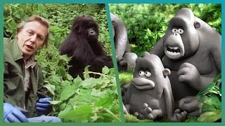 The Gorillas Meet Attenborough ft Aardman Animations Attenborough90  BBC Earth Unplugged [upl. by Eidnahs]