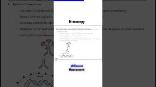 Microscopy Immunofluorescence [upl. by Allimaj]