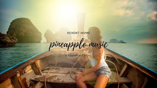 【VEXENT HOME】No copyright music 著作権フリー [upl. by Einimod504]