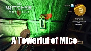 The Witcher 3 Wild Hunt use the magic lamp to find ghosts A Towerful of Mice [upl. by Wahs299]