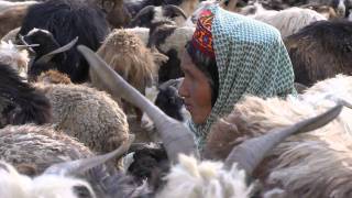 Shimshal Valley [upl. by Bord]