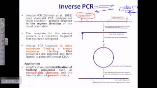 Inverse PCR [upl. by Adnirol256]