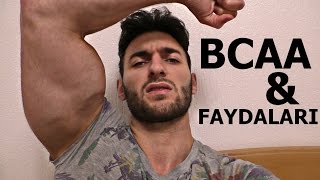 BCAA  FAYDALARI NELER  Vücüt geliştirme  Supplement  Protein  Amino asit Shredded Brothers [upl. by Aires]