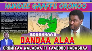 WALABUMMAAN OROMIYAA FURMAATAMOO FARRA HUNDEE GAAFFII OROMOO BOQONNAA 51 [upl. by Ellehcrad]