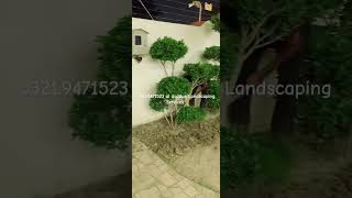 Night Works landscape gardendesign plants [upl. by Winona]