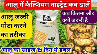 आलू में कैल्शियम नाइट्रेट कब डालें  Calcium NitratetilizerClcium Nitrate  Yaraliva IFCO Calcium [upl. by Refinnej449]