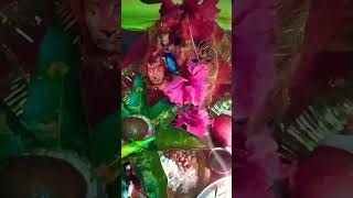 🌺🪔Nindiya ke matal Maiya Kholi na Jay Mata Di viral bhajan trending sonamkashyapofficial 🙏🏻 [upl. by Rockie]