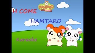 H come Hamtaro  Karaoke [upl. by Rehnberg]