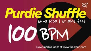 Purdie Shuffle 100 BPM  Half Time Shuffle Backing Track  Triplet Feel [upl. by Retsek263]