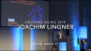 Joachim Lingner presenting at Undoing Aging 2019 [upl. by Spohr]