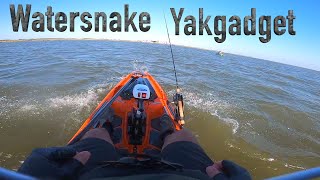 Watersnake T24 on YAKGADGET Pod mount Bonafide SS127 [upl. by Reidar]