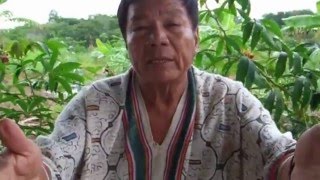 Shipibo Chamán Explica Ayahuasca y Plantas Medicinales Julio Urquia Ramírez [upl. by Emirac]