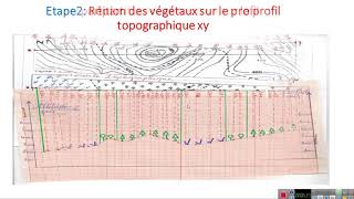 Coupe de répartition horizontale des végétaux [upl. by Ardnaeel167]