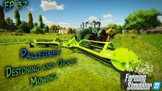 Mowing Our Own Grass  Farming Simulator 22 Gameplay  Pallegney  Episode 37 [upl. by Hilbert]