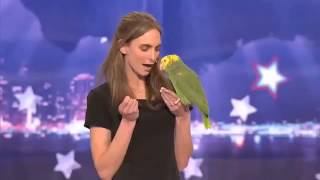 America’s Got Talent Parrot singing over the rainbow [upl. by Attenahs]