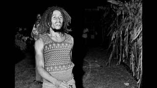 Bob Marley  Ambush in the night  Rare Demo Extended Lyrics [upl. by Reinar]