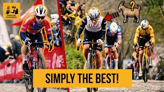 Is TADEJ POGACAR the GOAT after Tour of Flanders  Domestique Cycling Podcast [upl. by Lavro]