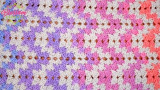 SPIKED RIPPLE  The Most Incredible Crochet Blanket [upl. by Adolf]