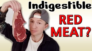 MEAT Gets Stuck In Your Colon The WORST Foods for Gut Health [upl. by Hume]