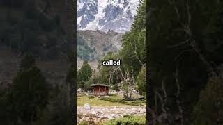 FairyMeadows the heaven on Earth travel funfacts nature [upl. by Ranit]