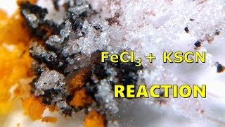 Iron III Chloride Reaction With Potassium Thiocyanate FeCl3  KSCN [upl. by Noyes566]