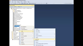 How to BACKUP DATABASES in SQL Server Management Studio [upl. by Hanshaw]