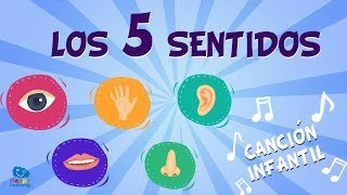 Los 5 sentidos  Canciones Educativas para Niños [upl. by Jules]