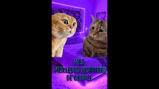 Histoires 2 Chats  Mes MEILLEURS HISTOIRES de COUPLES [upl. by Gwyneth]